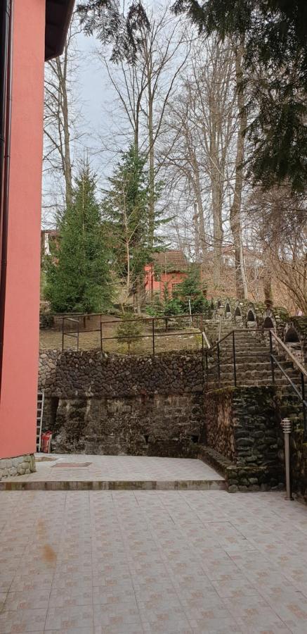 Rosa Villa Băile Olăneşti Buitenkant foto