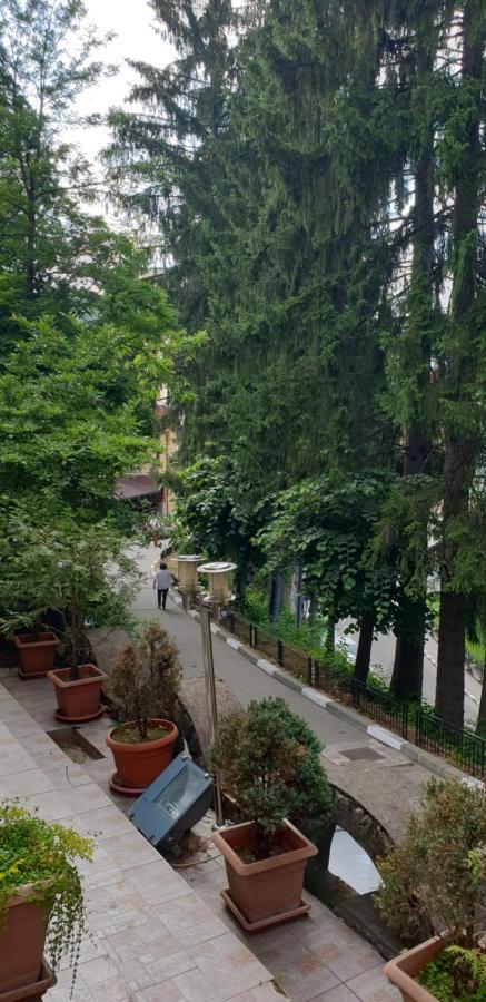 Rosa Villa Băile Olăneşti Buitenkant foto