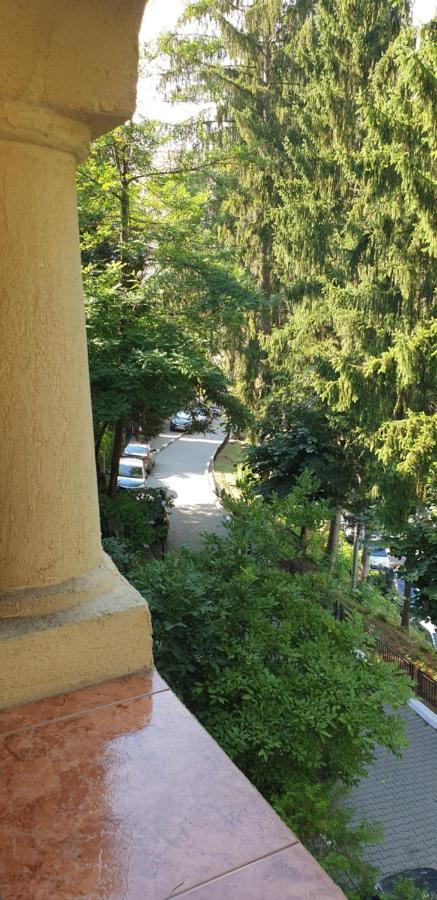 Rosa Villa Băile Olăneşti Buitenkant foto