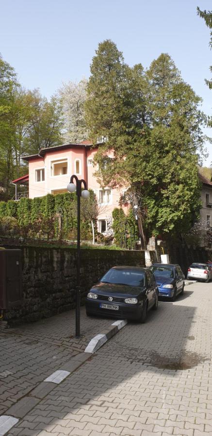 Rosa Villa Băile Olăneşti Buitenkant foto