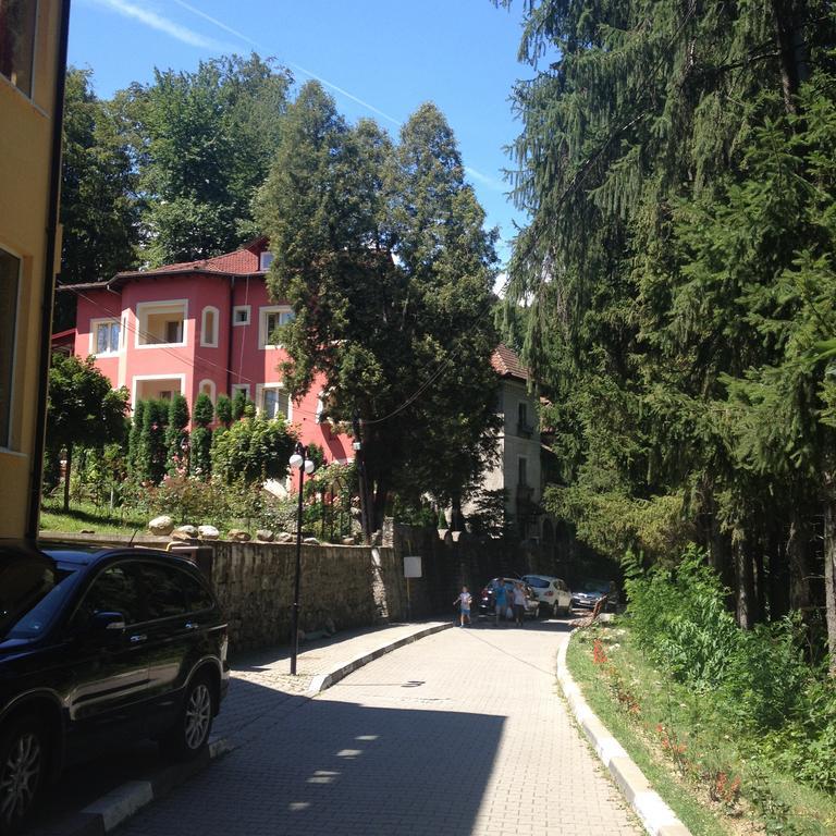 Rosa Villa Băile Olăneşti Buitenkant foto