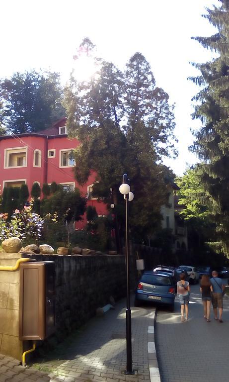 Rosa Villa Băile Olăneşti Buitenkant foto