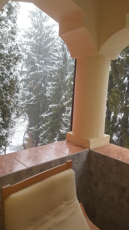 Rosa Villa Băile Olăneşti Buitenkant foto